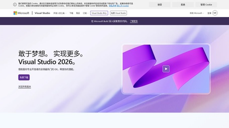 Visual Studio​